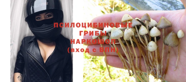 a pvp Арсеньев